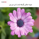 دوربین دیجیتال کانن مدل EOS 70D + 18-55 IS STM دسته دوم