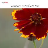 دوربین دیجیتال کانن مدل EOS 70D + 18-55 IS STM دسته دوم