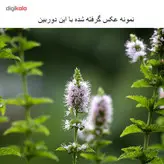 دوربین دیجیتال کانن مدل EOS 70D + 18-55 IS STM دسته دوم