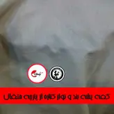 پشه بند حریر مدل نیمکت باغی برند خوشنام هگمتان سایز 4 در 2