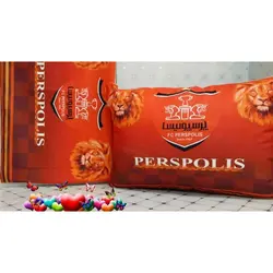 روبالشی مخمل پروشه کد H-506