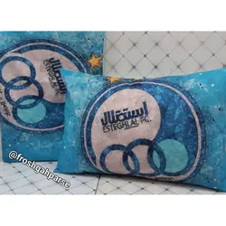 روبالشی مخمل پروشه کد H-507