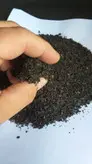 چای سیاه بهاره ارسال رایگان یک کیلویی تازه