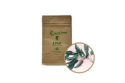 ماسک پودری‌ آدامسی و لاتکسی عصاره اکالیپتوس برند Sun ساخت کره