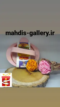 همبرگر ساز دستی پلاستیکی