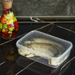 ظروف درب دار فریزری سایز 2000 سی سی