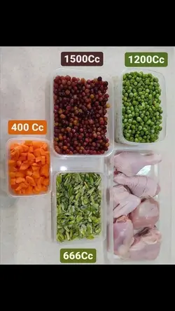 ظروف درب دار فریزری سایز 1200 سی سی