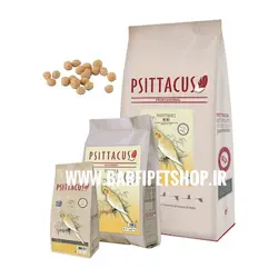 پلت ميني سيتاكوس