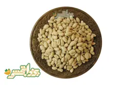 سویا آجیلی
