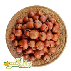 فندق شور