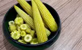 کنسرو بچه بلال(بی بی کرن)بانیان۳ کیلوگرم