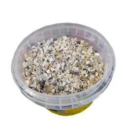 صدف پرنده خورد شده