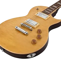 گیتار الکتریک ال تی دی مدل LTD EC 256 VN