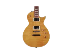 گیتار الکتریک ال تی دی مدل LTD EC 256 VN