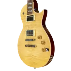 گیتار الکتریک ال تی دی مدل LTD EC 256 VN