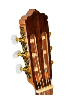 گیتار کلاسیک پالادو مدل cg90