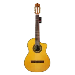 گیتار کلاسیک پالادو مدل CG 80-EQ