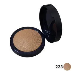 رژگونه هایلایتر پولمیک