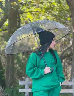 چتر شیشه ای