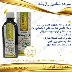 سرکه انگبین رازیانه 200 میلی لیتر دکتر خیر اندیش