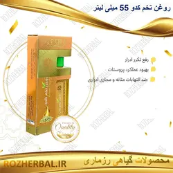روغن تخم کدو 55 میلی لیتر دکتر خیر اندیش