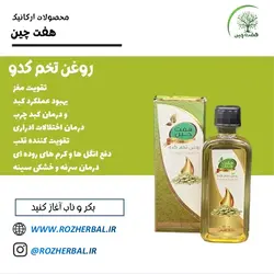 روغن تخم کدو 55 میلی لیتر دکتر خیر اندیش