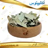 برگ آکالیپتوس 500 گرمی