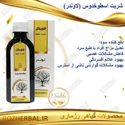 شربت اسطوخدوس 200 میلی لیتر دکتر خیر اندیش