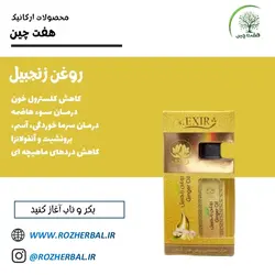 روغن زنجبیل 55 میلی لیتر دکتر خیر اندیش