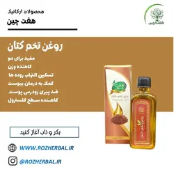 روغن تخم کتان 55 میلی لیتر دکتر خیر اندیش