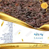 به دانه 500 گرمی