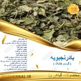 بادرنجبویه (ملیس) 100 گرمی