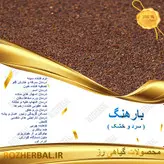 بارهنگ 1 کیلو گرمی