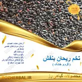 تخم ریحان بنفش 1 کیلو گرمی