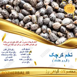 تخم کرچک 100گرمی
