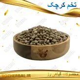تخم کرچک 100گرمی
