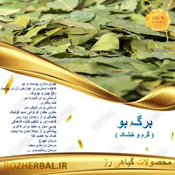 برگ بو 1 کیلو گرمی