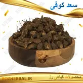 سعدکوفی 100 گرمی