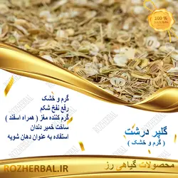 گلپر درشت 50 گرمی