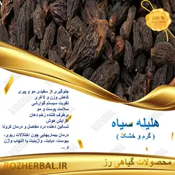 هلیله سیاه 1 کیلو گرمی