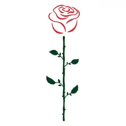 نشاسته گل 100 گرمی