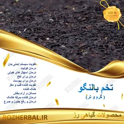 تخم بالنگو 100 گرمی