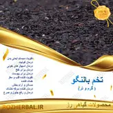 تخم بالنگو 100 گرمی