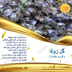 گل زوفا 100 گرمی