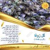 گل زوفا 100 گرمی