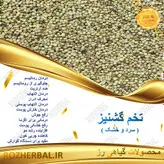 تخم گشنیز 50 گرمی