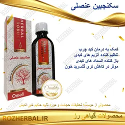 سکنجبین عنصلی 200 میلی لیتر دکتر خیر اندیش