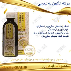 سرکه انگبین به لیمویی 200 میلی لیتر دکتر خیر اندیش