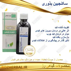 سکنجبین بذوری 200 میلی لیتر دکتر خیر اندیش