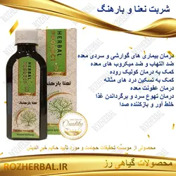 شربت نعنا و بارهنگ 200 میلی لیتر دکتر خیر اندیش